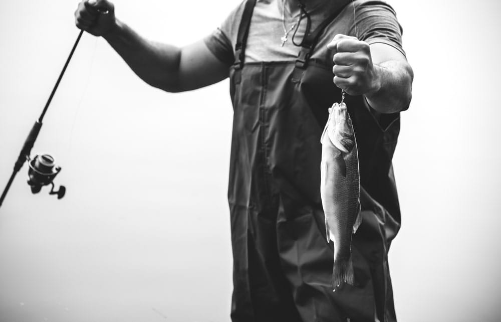 ikan - gkdi 2