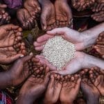 kemiskinan - gereja gkdi - cover