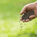 perumpamaan tentang penabur - gereja gkdi - cover