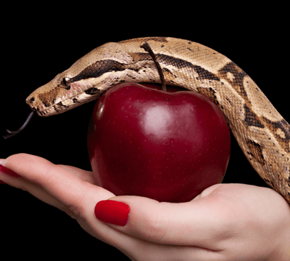 Ular-Cover-gereja gkdi